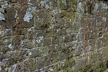 Image showing Grunge Wall