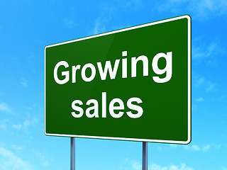 Image showing Finance concept: Growing Sales on road sign background