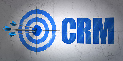 Image showing Business concept: target and CRM on wall background