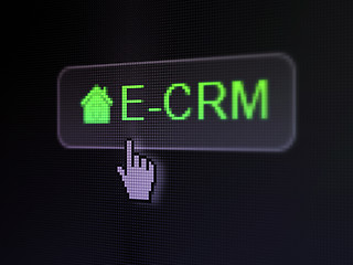 Image showing Finance concept: E-CRM and Home on digital button background