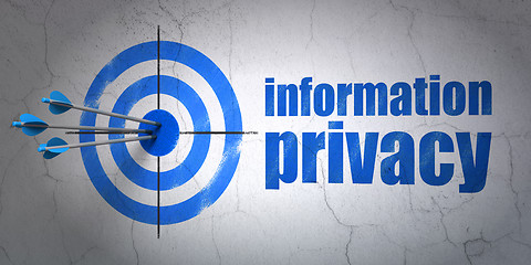Image showing Safety concept: target and Information Privacy on wall background
