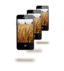 Image showing mobile phones with images os fields of wheat