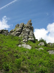 Image showing big rock like frog and blue sky