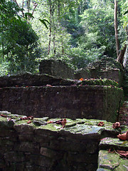 Image showing Palenque