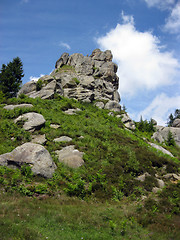 Image showing big rock like frog and blue sky