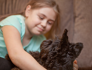 Image showing Little girl with a her miniature schnauzer