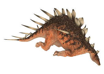 Image showing Dinosaur Kentrosaurus