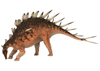 Image showing Dinosaur Kentrosaurus