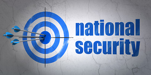 Image showing Privacy concept: target and National Security on wall background