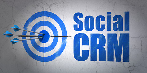 Image showing Finance concept: target and Social CRM on wall background