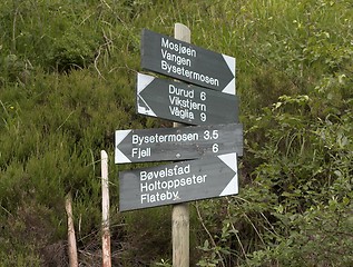 Image showing Signpost