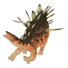 Image showing Dinosaur Kentrosaurus