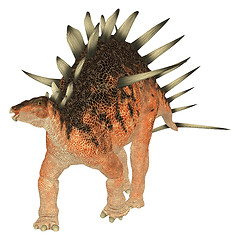 Image showing Dinosaur Kentrosaurus