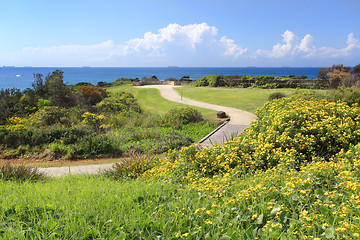 Image showing Picturesque Caves Beach NSW Australia