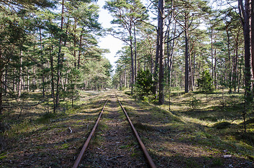 Image showing Old railroad tracks