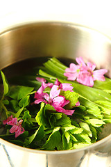 Image showing natural tea plants 