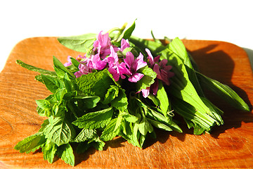 Image showing natural tea plants 