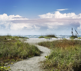 Image showing Path To The Beach