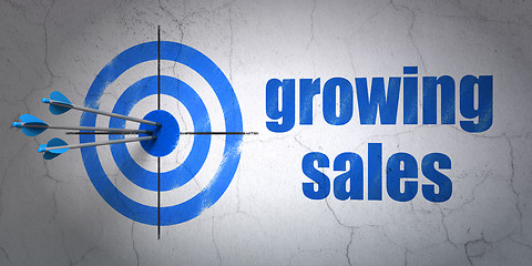 Image showing Finance concept: target and Growing Sales on wall background