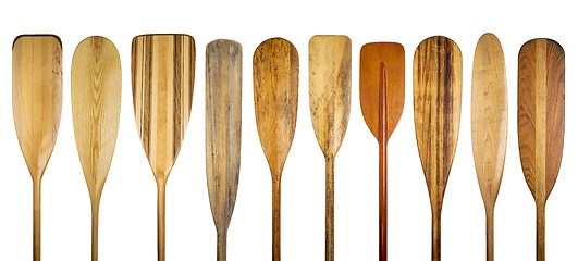 Image showing wooden canoe paddles