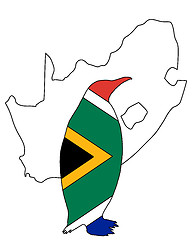 Image showing Penuin South Africa