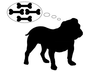 Image showing Hungry english bulldog dreams of many bones