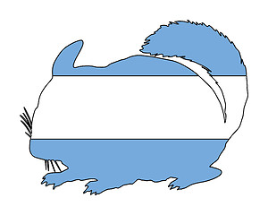 Image showing Chinchilla Argentina