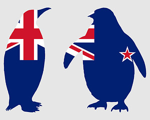 Image showing Penguin New Zealand