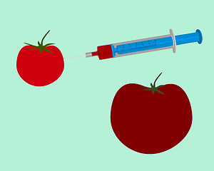 Image showing Illustration of genetic engineering of a tomato on green background