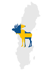 Image showing Swedish moose