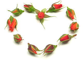 Image showing Rose buds arranged as heart  on white