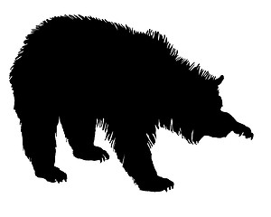 Image showing Grizzly