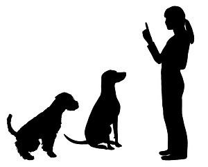 Image showing Dog Training