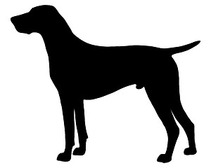 Image showing The black silhouette of a German Shorthaired Pointer