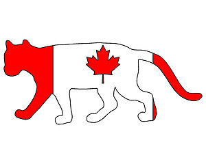 Image showing Cougar Canada