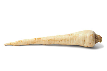 Image showing Parsley root on white