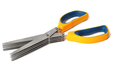 Image showing Herb scissors