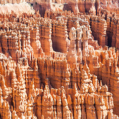 Image showing Bryce Canyon