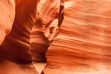 Image showing Antelope Canyon