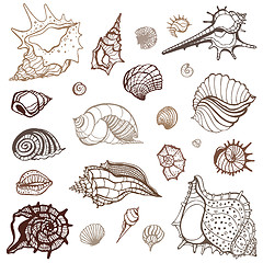 Image showing Sea collection. Hand drawn vector illustration
