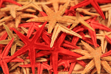 Image showing starfish background