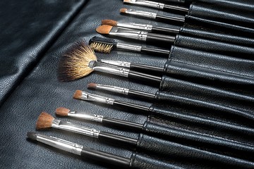 Image showing Makeup Tools in a leather case