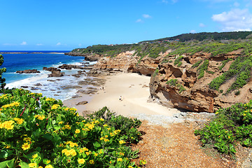 Image showing Some of the caves at Caves Beach NSW Austraia