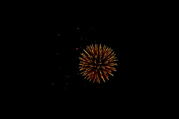 Image showing Fireworks in the night sky