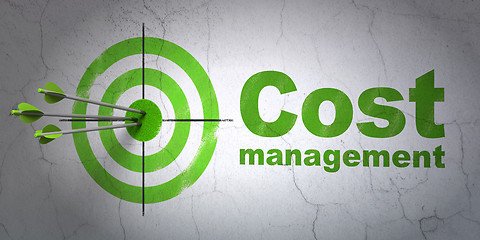 Image showing Business concept: target and Cost Management on wall background