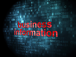 Image showing Business concept: Business Information on digital background