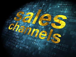 Image showing Marketing concept: Sales Channels on digital background