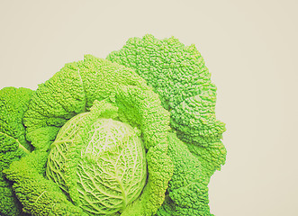 Image showing Retro look Cabbage