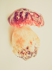 Image showing Retro look Porcini Mushroom