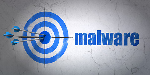 Image showing Security concept: target and Malware on wall background